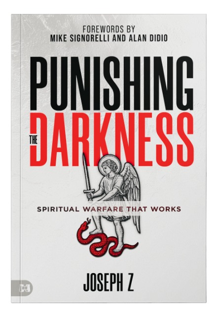 Punishing the Darkness Book